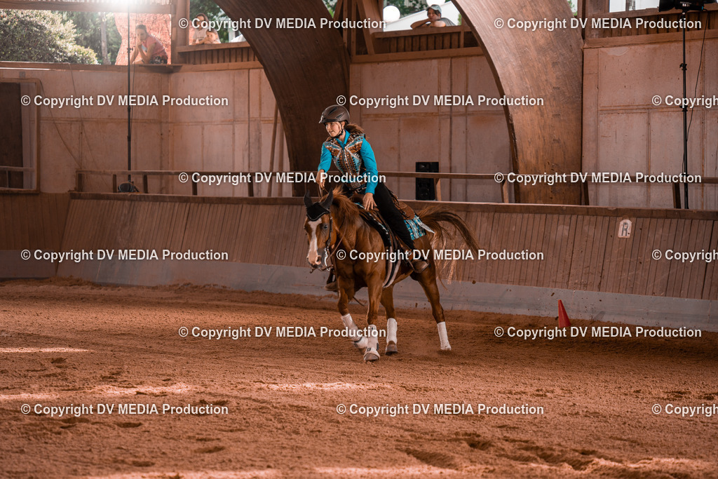 NE201120 | dv-media-shop - Realisiert mit Pictrs.com