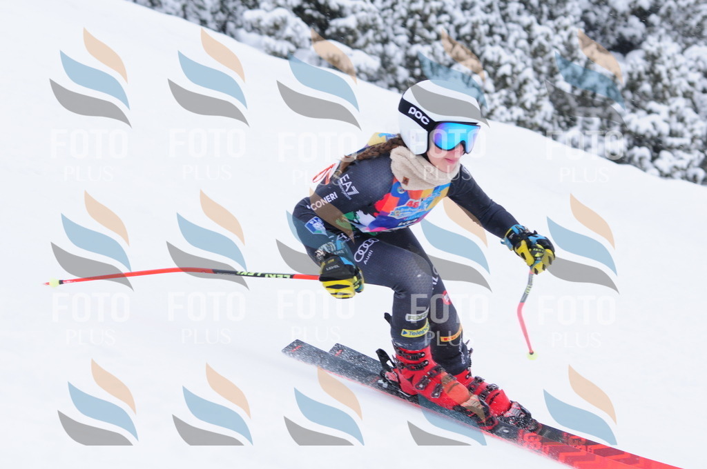 C3682 | holidayphoto