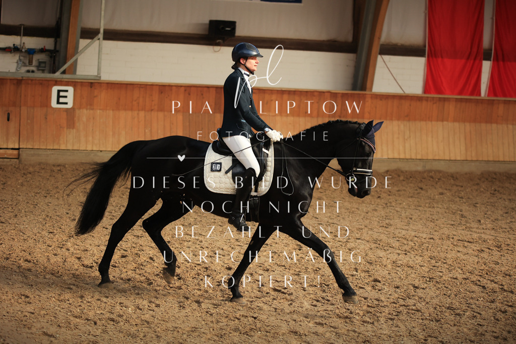 IMGT3842 | pl-fotografie