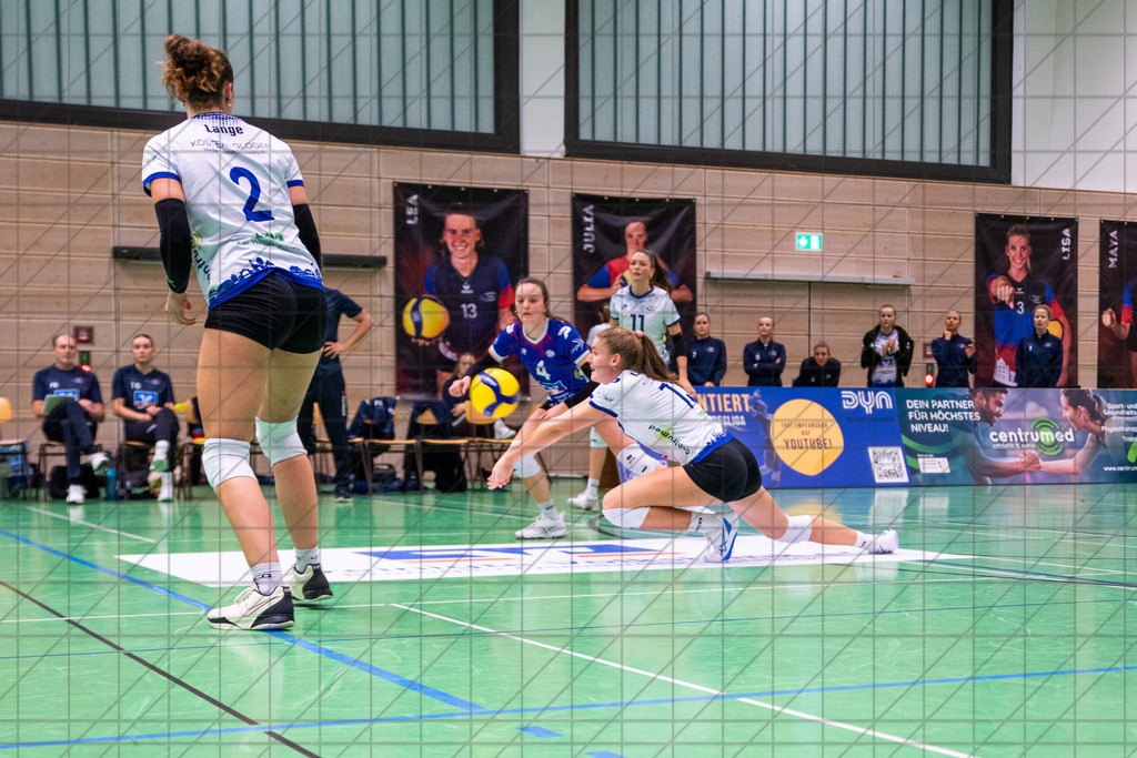 2. VBLF Nord 25/26 | Spiel 4154 | VC Osnabrück vs. VCO Münster | //  29.11.25: 2. VBLF Nord 25/26 | Spiel 4154 | VC Osnabrück vs. VCO Münster / Osnabrück / Deutschland  //   CREDIT:www.bullenfotos.de, Martin König, Hörner Weg 40, D-49078 Osnabrück, +4917663732967 // Nutzung und Weitergabe nur zu den vereinbarten Zwecken. Presseanfragen an Ersteller. Alle Rechte beim Ersteller. Honorierung nach MFM. - Realisiert mit Pictrs.com