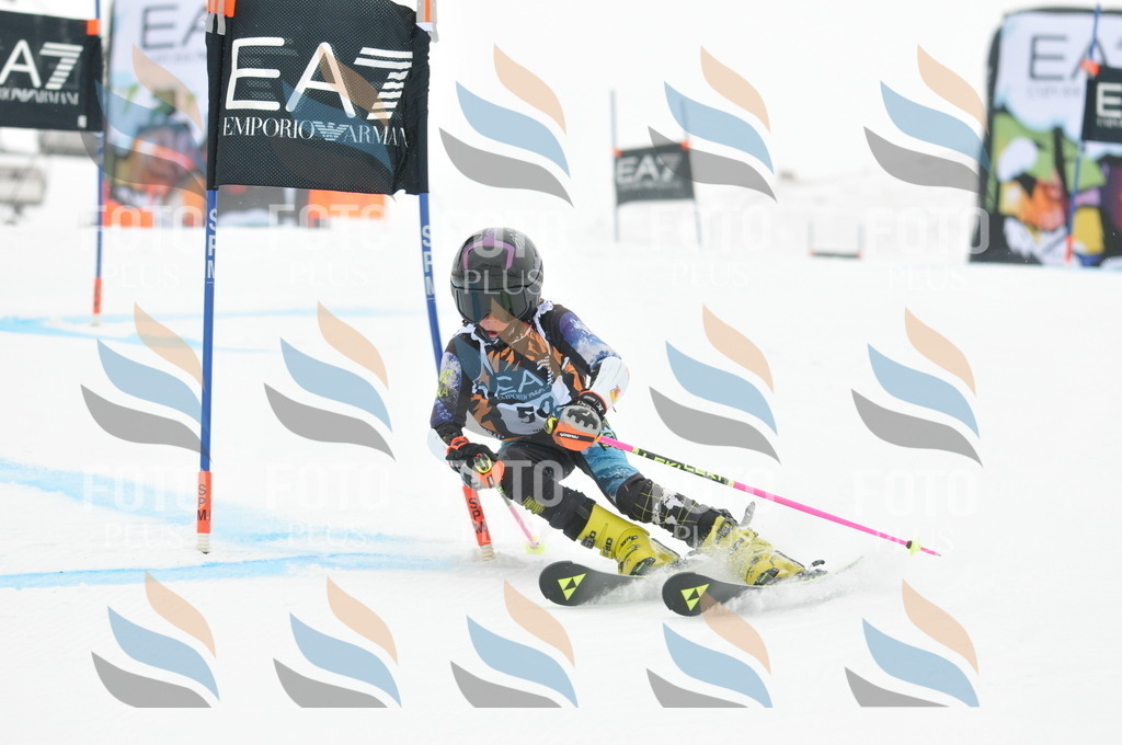 DSC_7715 | holidayphoto