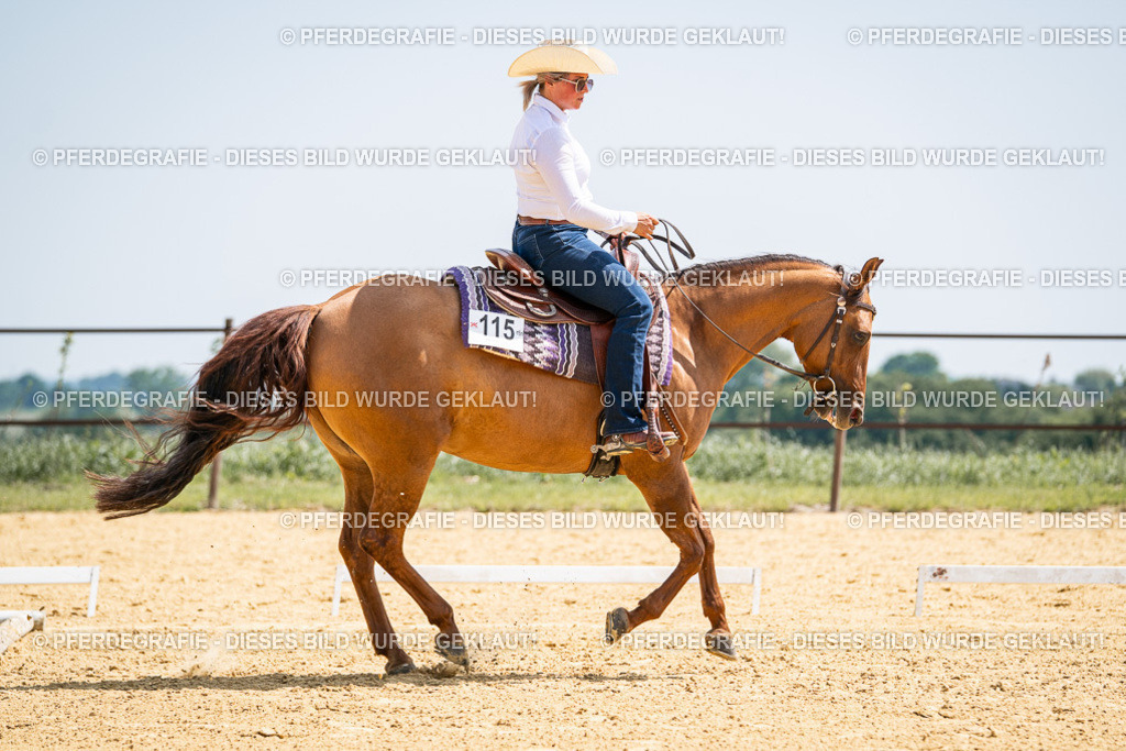 DSC00793 | Pferdegrafie