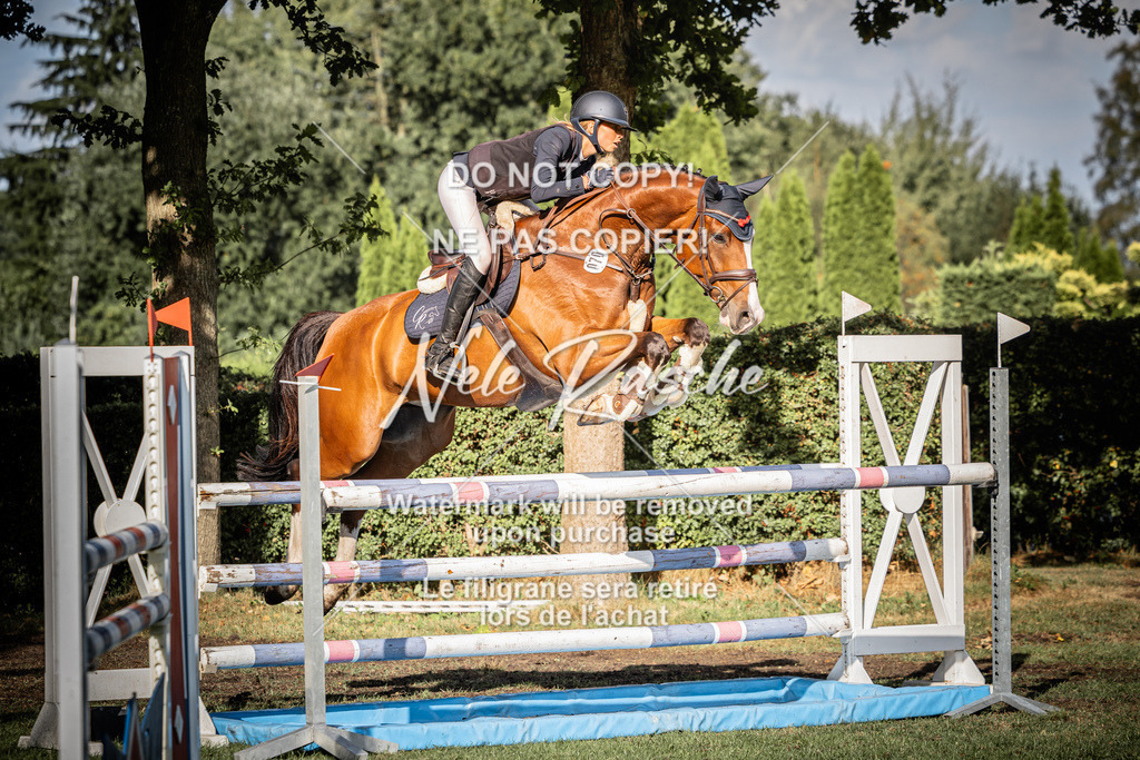 nelerasche_SprM_120Ede_88 | nelerasche