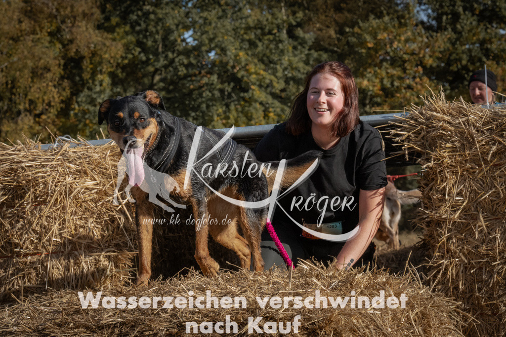 1120_ZZ91008 | kk-dogfotos