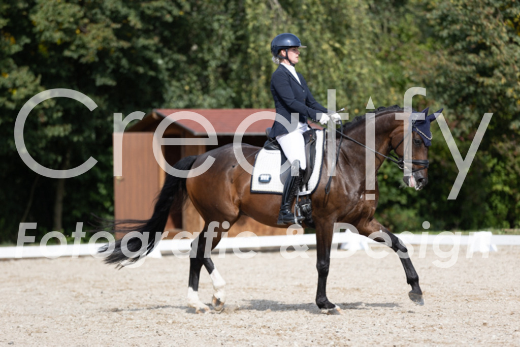 IMG_4039 | Creatify Fotografie