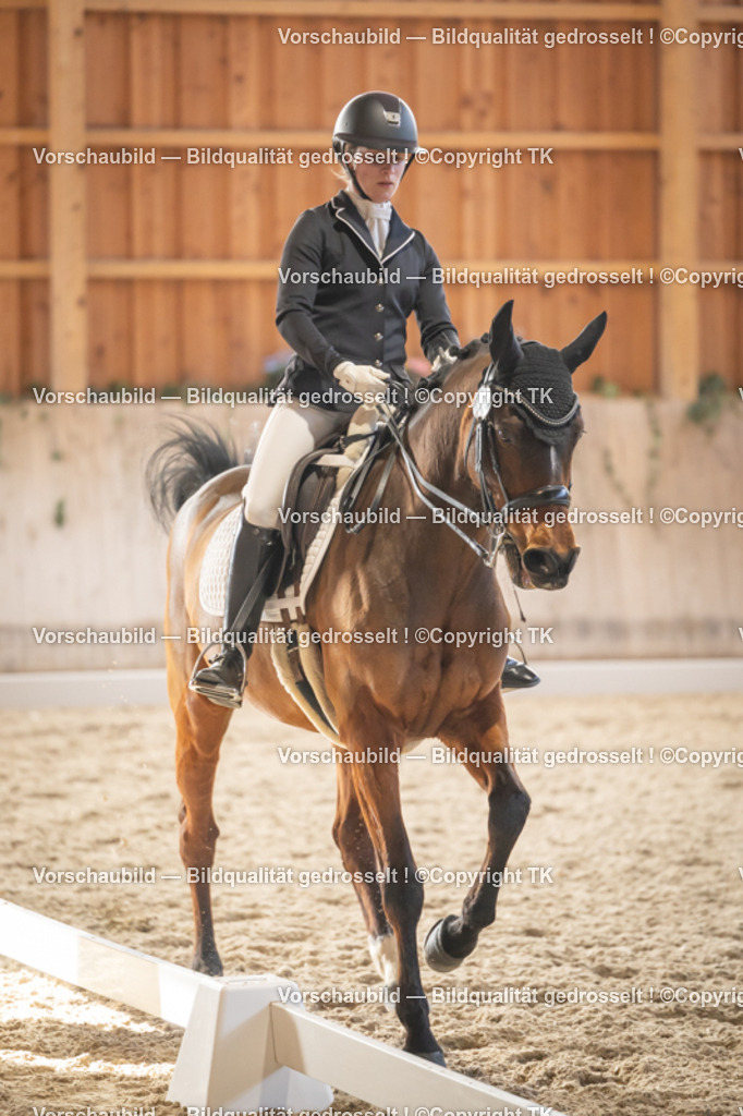 _D5A3122 | Emotionale Pferde- & People-Fotografie rund um Heidelberg, Leimen & Umgebung. Natürliche Fotos von Pferd, Mensch & Familie. Jetzt Termin sichern!