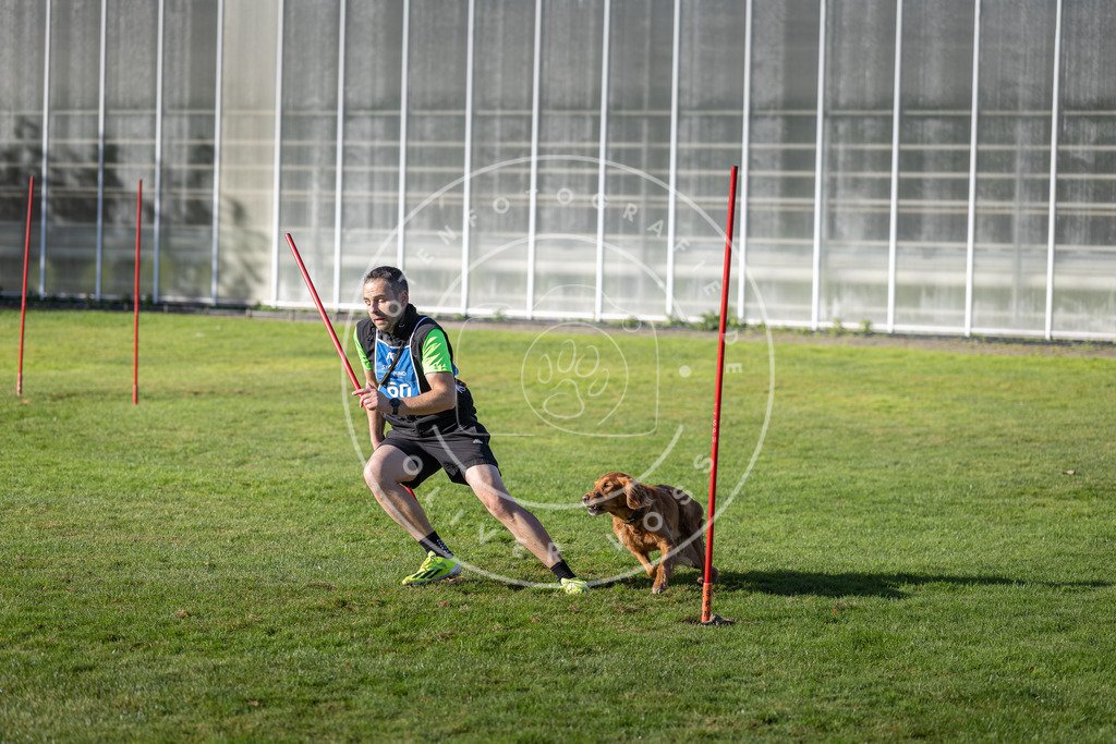 Pfotenfotografie.de_DV3A3419 | Hundefotografie, Tierfotograf, Pfotenfotografie, Fotoshooting Hund, Hunde Portrait, Hundesport, Hundeportraits, Heideshooting, Hunde, Sportfotograf, Hundefotograf, Turnierhundsport, THS, canicross - Realisiert mit Pictrs.com