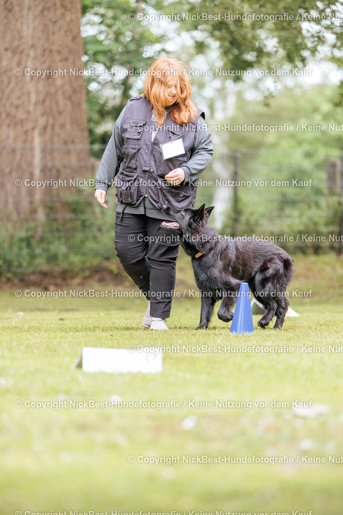 RO-Blumenthal-2026-Nickbest-Hundefotografie-3324 | Dein Hund! Dein Moment! Deine Erinnerungen! Hundefotografie in Bremen Blumenthal. Ich fange die besonderen Momente deines Vierbeiners ein – ob Indoor mit Blitzanlage oder in der freien Natur. Sicher dir dein Moment und dein Termin für eure Erinnerungen.