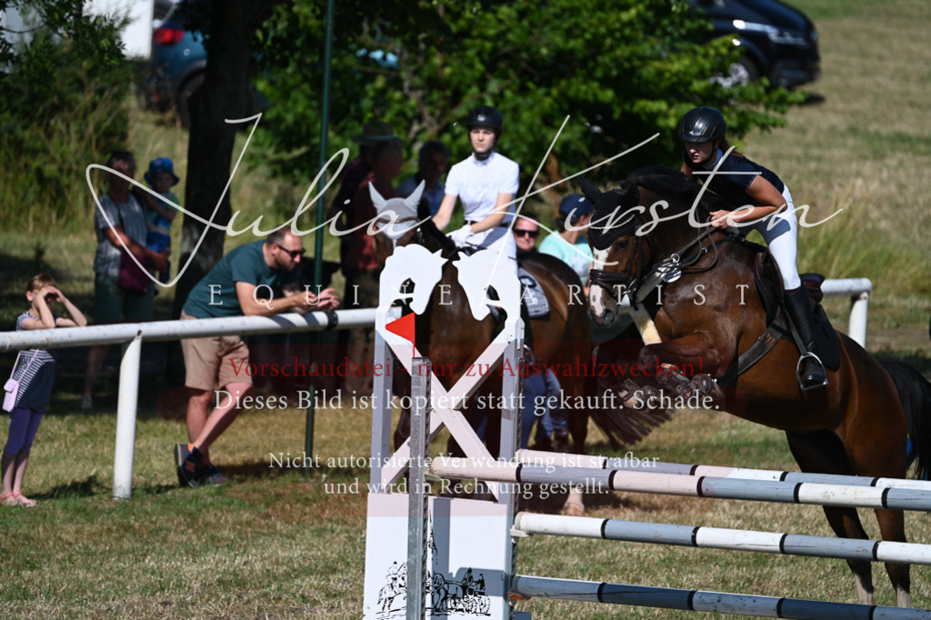 DSC_2035 | Pferde- und Turnierfotografie in Westsachsen. Pferdeportraits, Auftragszeichnungen und intuitive Kunst.