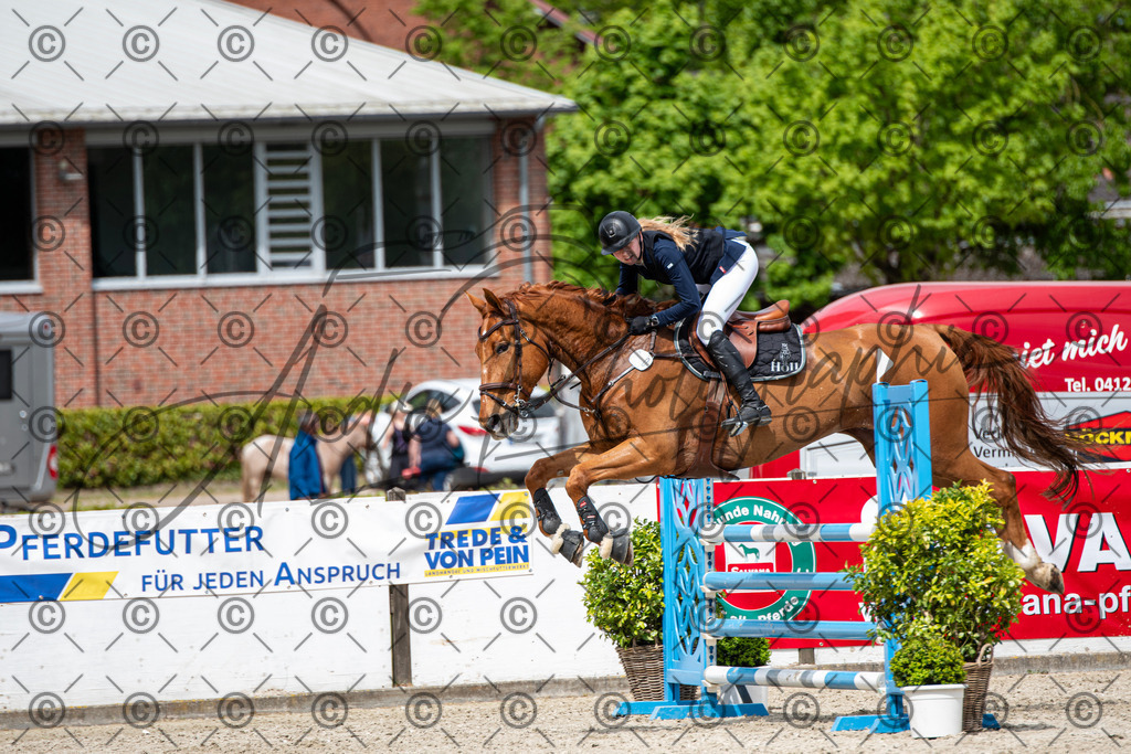 KPT_5585 | andre_photographic