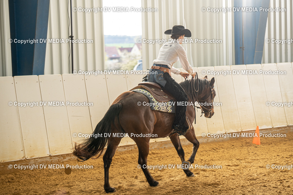 MIT00767 | dv-media-shop - Realisiert mit Pictrs.com