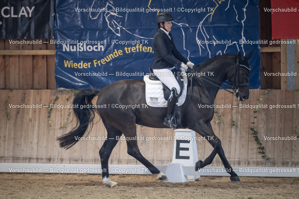 _D5A4958 | Emotionale Pferde- & People-Fotografie rund um Heidelberg, Leimen & Umgebung. Natürliche Fotos von Pferd, Mensch & Familie. Jetzt Termin sichern!