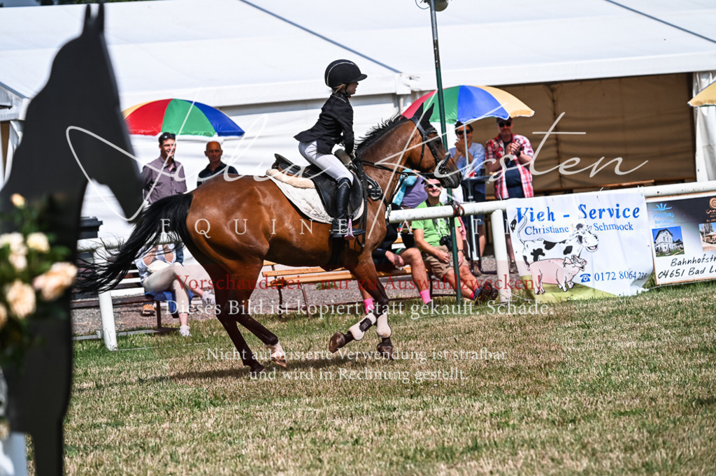 DSC_8531 | Pferde- und Turnierfotografie in Westsachsen. Pferdeportraits, Auftragszeichnungen und intuitive Kunst.