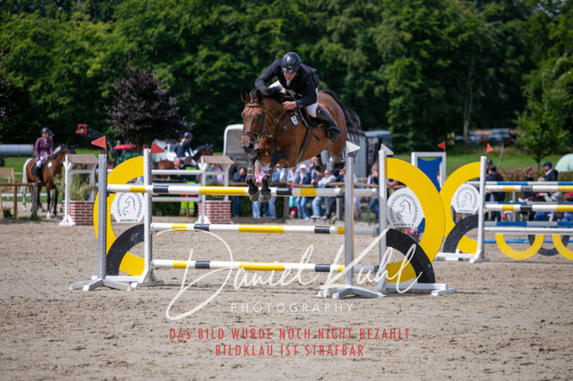 IMG_5733 | Deine Turnierfotos vom Reitturnier online kaufen: Dressur, Springen & Siegerehrung. Professionelle Pferdefotografie aus dem Rheinland – als Download & Print.Alternative: Turnierfotograf für den Pferdesport: Finde deine Fotos von Dressur- und Springturnier