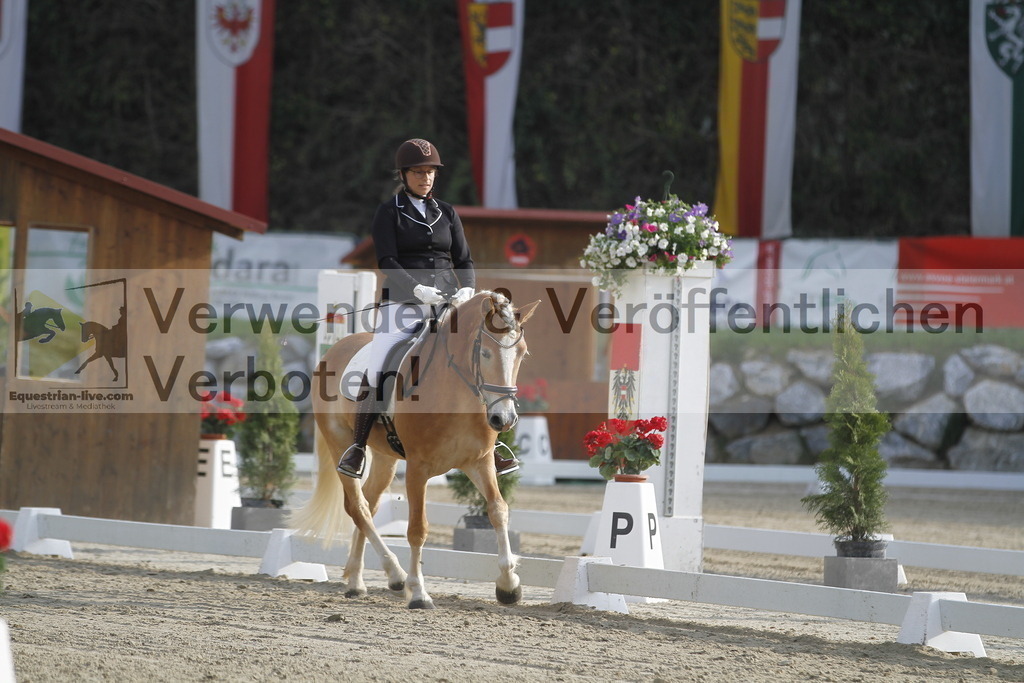 _MG_5805 | equestrian-live-com