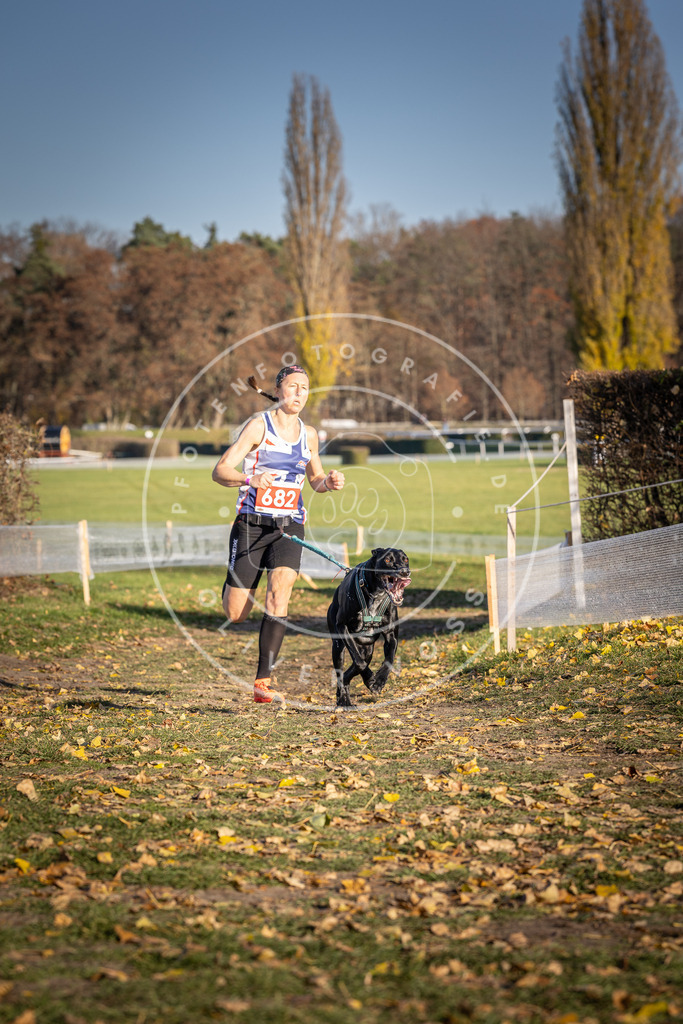 CaniXpix_DV3A1109 | Hundefotografie, Tierfotograf, Pfotenfotografie, Fotoshooting Hund, Hunde Portrait, Hundesport, Hundeportraits, Heideshooting, Hunde, Sportfotograf, Hundefotograf, Turnierhundsport, THS,  - Realisiert mit Pictrs.com
