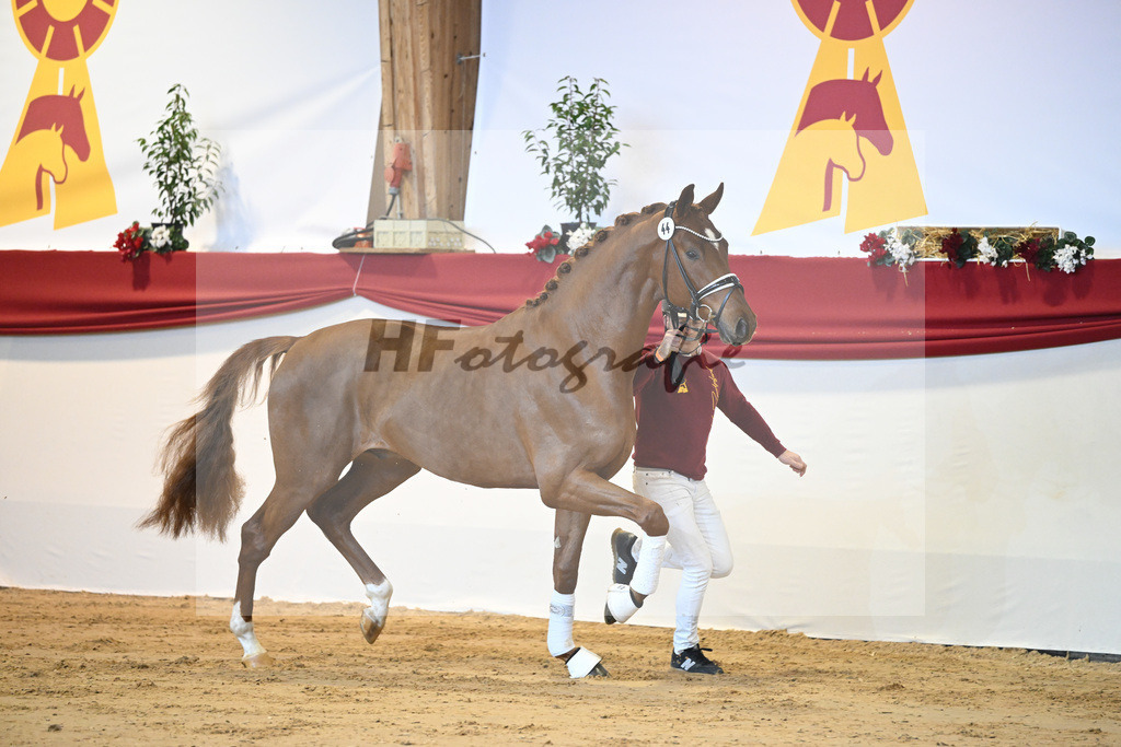Kat-Nr. 44 Donier_Hertweck_1231343 | hf-fotografie - Realisiert mit Pictrs.com