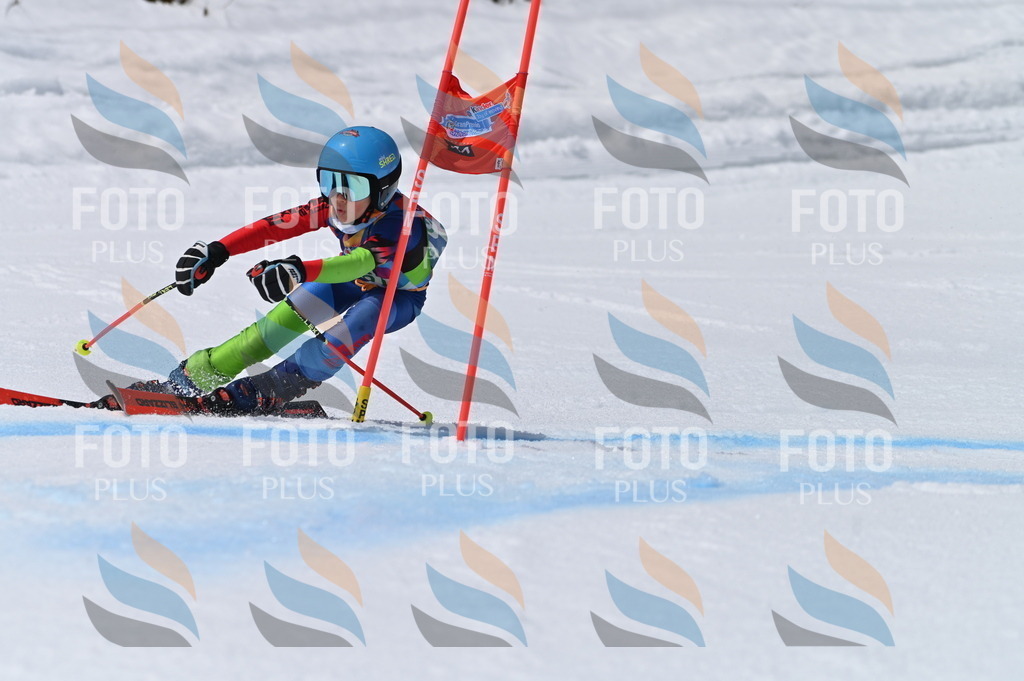 BGV_7151 | holidayphoto