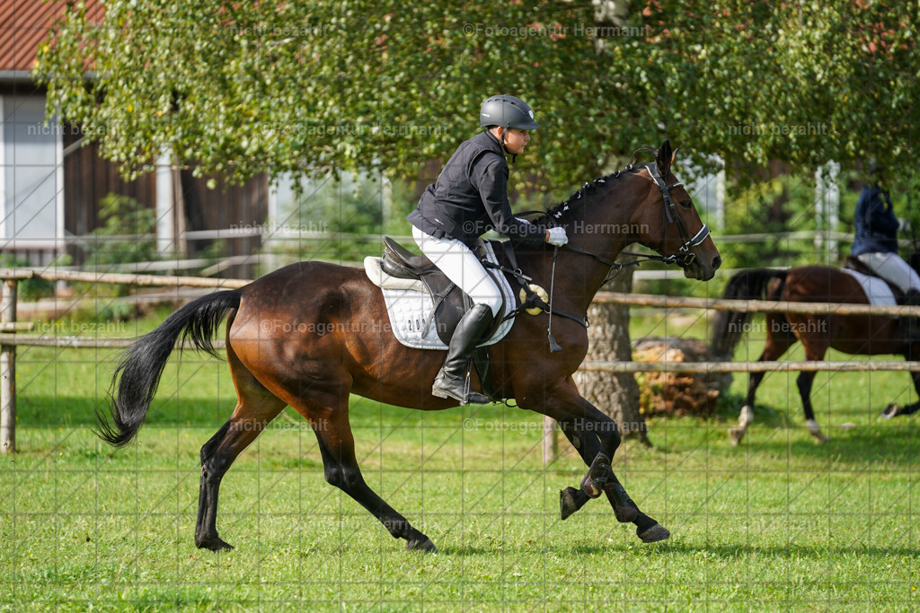 20230917-FAH09093 | Landsberg am Lech, 2023, Kaufbeuren, Kempten, Allgäu, Turnierfotografen Bayern, Fotoagentur Herrmann, Turnierbilder, Reitsport Fotos, Pferdefotograf, Augsburg, Bad Tölz, Dachau, Karlsfeld, Memmingen, Buchloe, Schwabmünchen