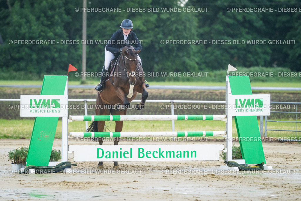 DSC04191 | Pferdegrafie