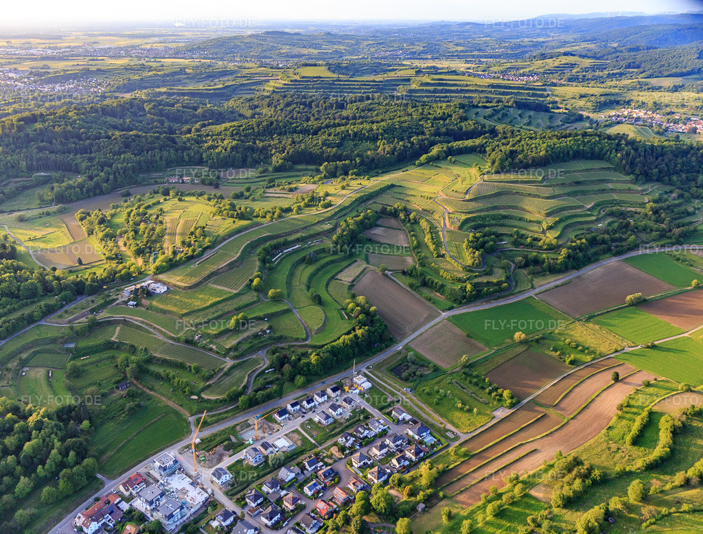 Luftbild: terassierte Weinberge in Malterdingen im Bundesland Baden-Württemberg in Deutschland. Foto: IMG_147436.jpg vom 29.05.2025 durch Werner Riehm/FLY-FOTO.de