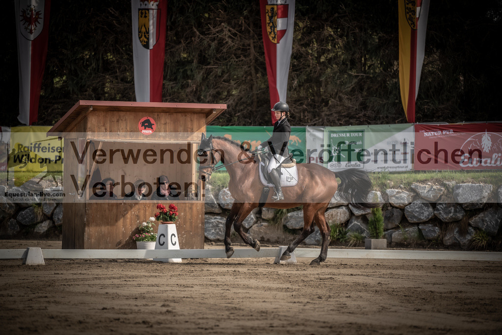 DSC_8563 | equestrian-live-com