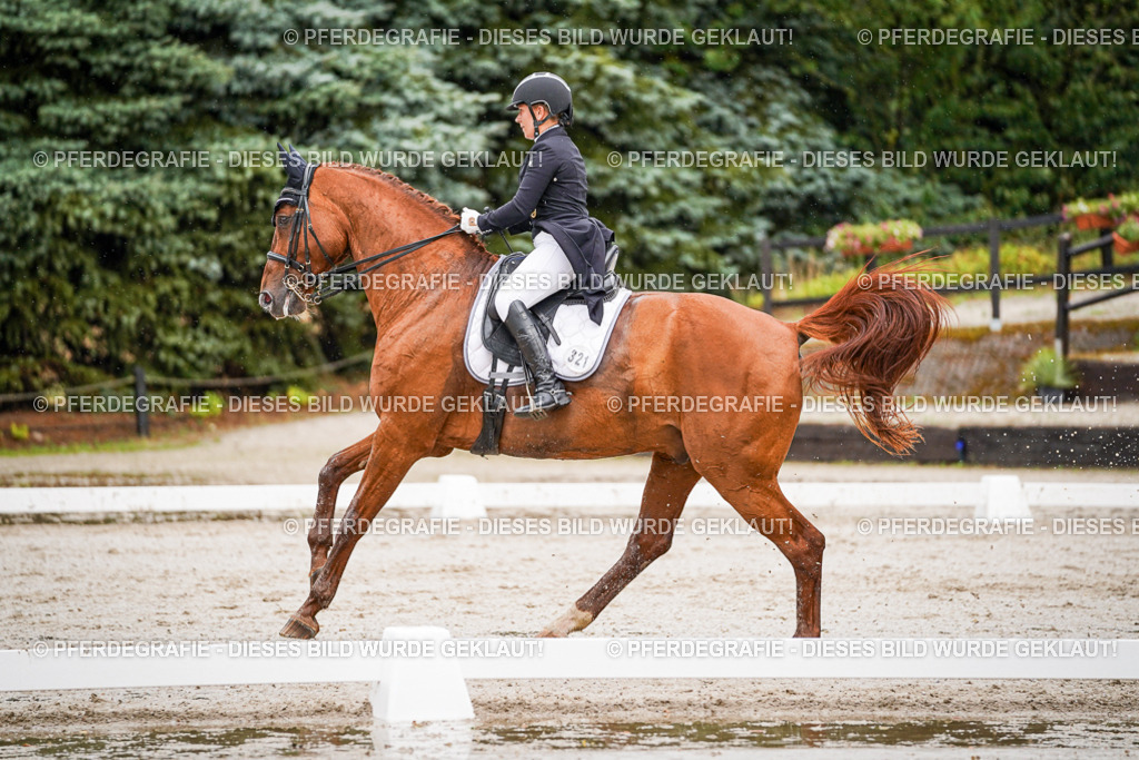 DSC09553 | Pferdegrafie