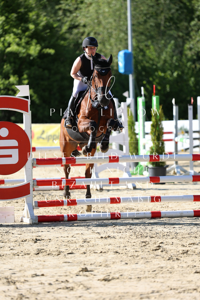 IMGS5637 | pl-fotografie