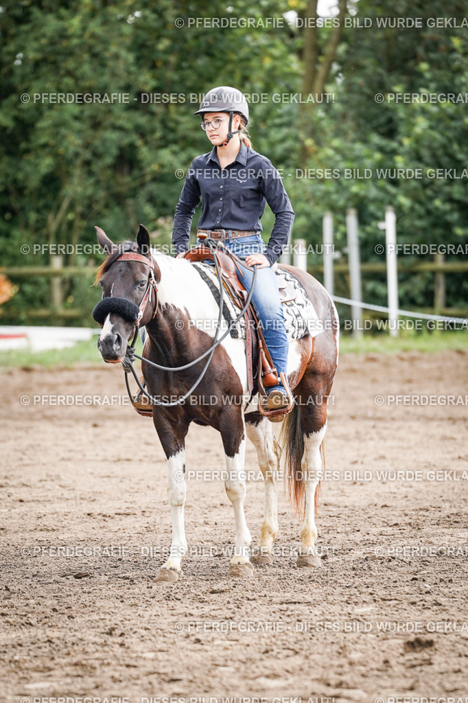 DSC07844 | Pferdegrafie