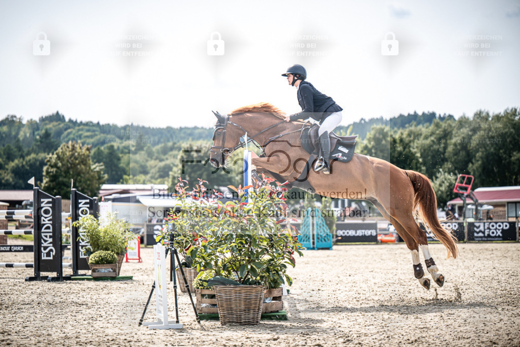 DOS_8724 | Entdecke hochwertige Reitturnierfotos von Foto Oger. Professionell, emotional und authentisch – jetzt Lieblingsmomente im Shop bestellen. - Realisiert mit Pictrs.com