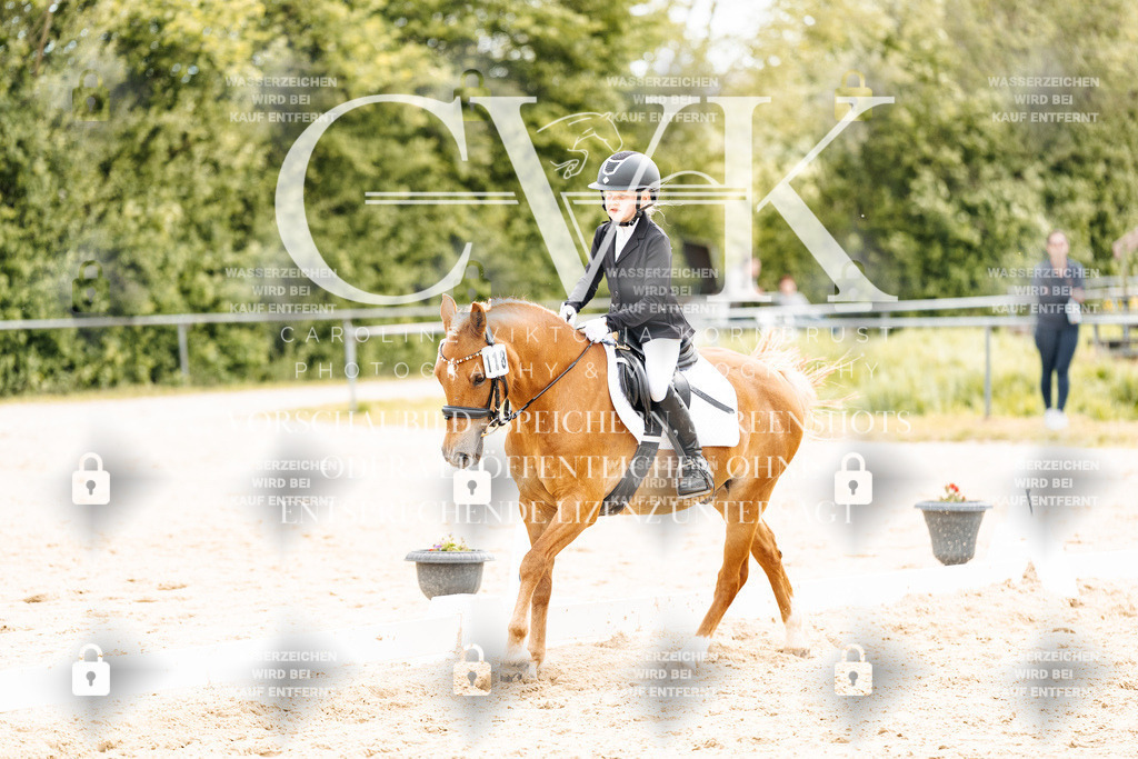 CK904649 | Turnierfotografie Pferdefotografie Trier Rheinland-Pfalz Pferdesport Reitsport Tierfotografie Sportfotografie Pferdevideo Pferdevideografie Equestrianvideography equestrianphotography  - Realisiert mit Pictrs.com