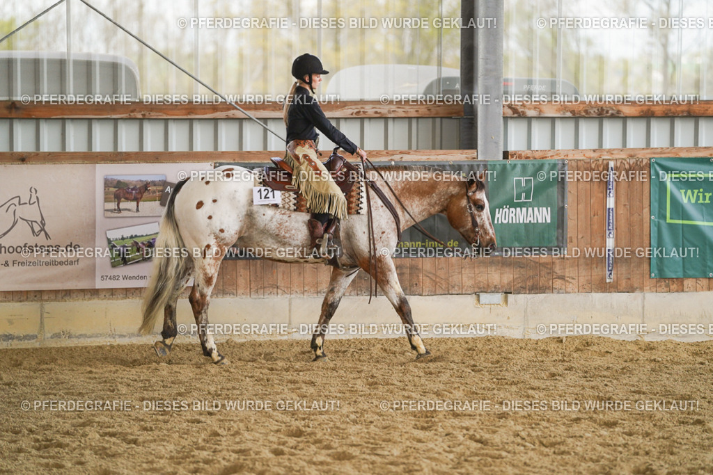 DSC08823 | Pferdegrafie