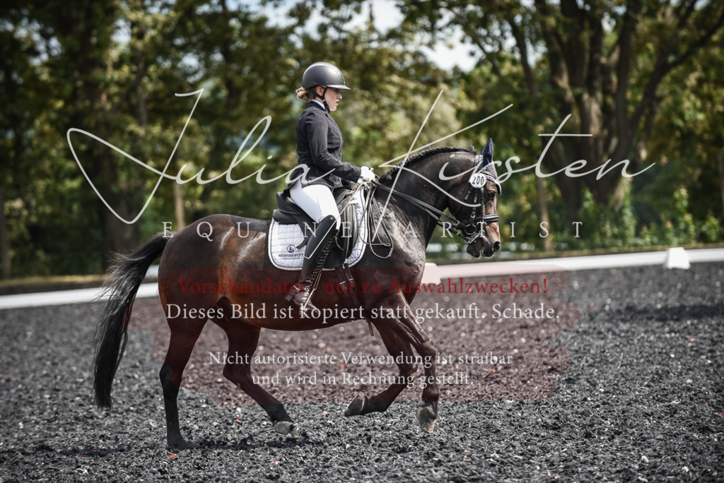 DSC_5112 | Pferde- und Turnierfotografie in Westsachsen. Pferdeportraits, Auftragszeichnungen und intuitive Kunst.
