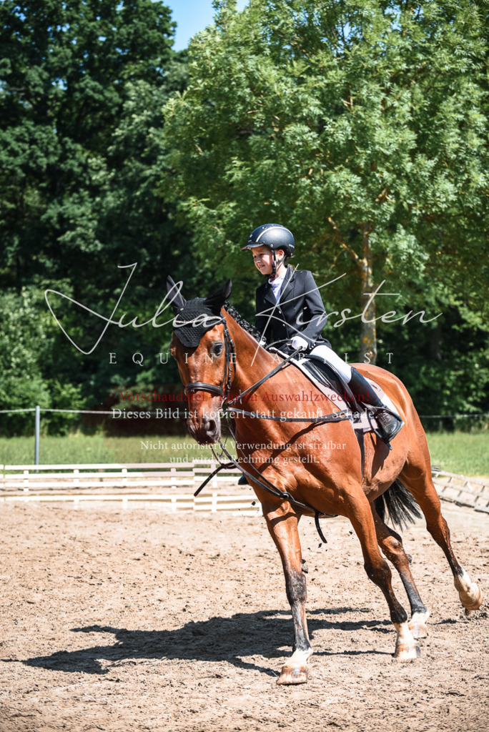 DSC_3010 | Pferde- und Turnierfotografie in Westsachsen. Pferdeportraits, Auftragszeichnungen und intuitive Kunst.