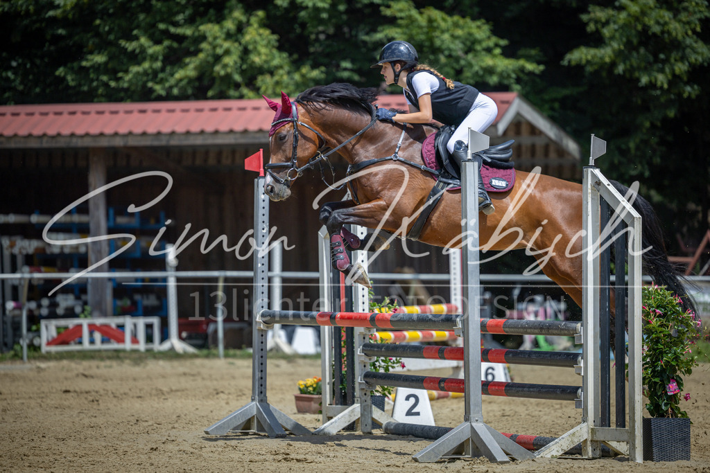 20260704-_3LI9454 | Tierfotografie Pferde, Hunde, Katzen, Haustiere.
Turnierfotografie Reitturniere, Reiten, Springreiten, Dressur in Hanau, dem Main-Kinzig-Kreis und dem Rhein-Main- Gebiet um Frankfurt