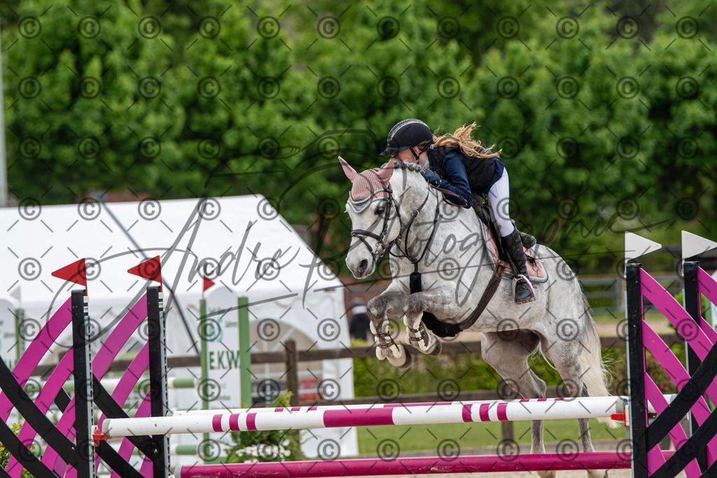 KPT_8386 | andre_photographic