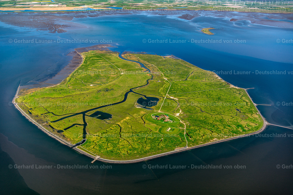 3801917 | Hallig Gröde, Nationalpark Schleswig-Holsteinisches Wattenmeer