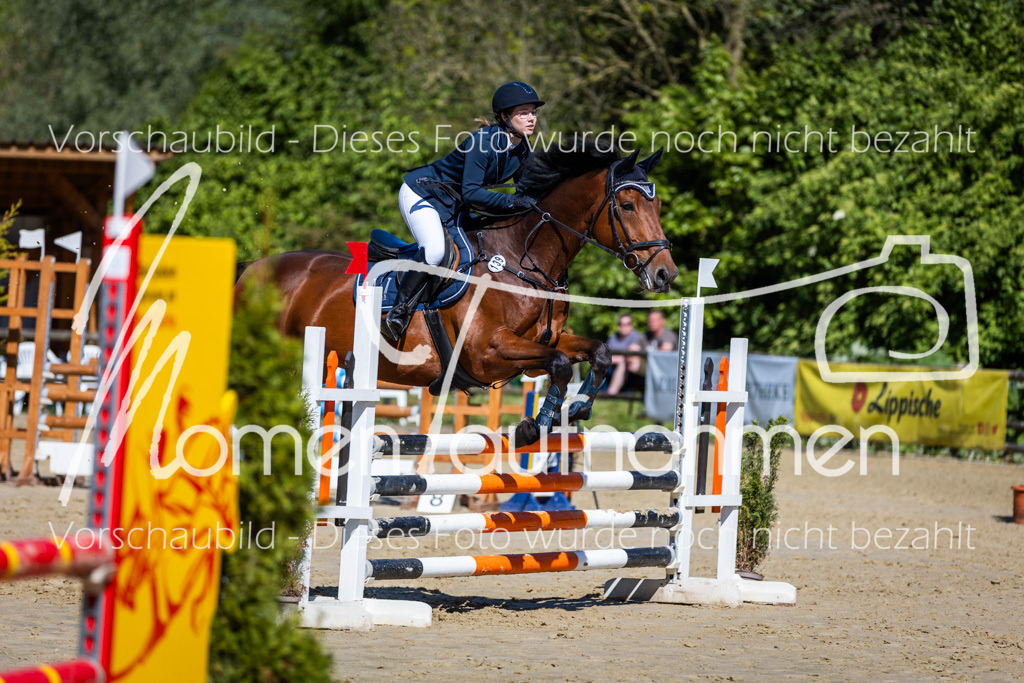 Donop24-A2Spr-110 | MomenTaufnahmen Pferdesportfotos
