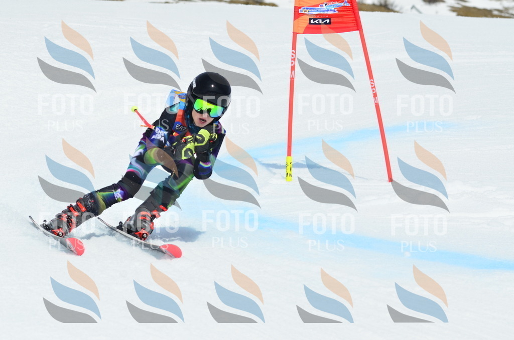 _ELE2642 | holidayphoto