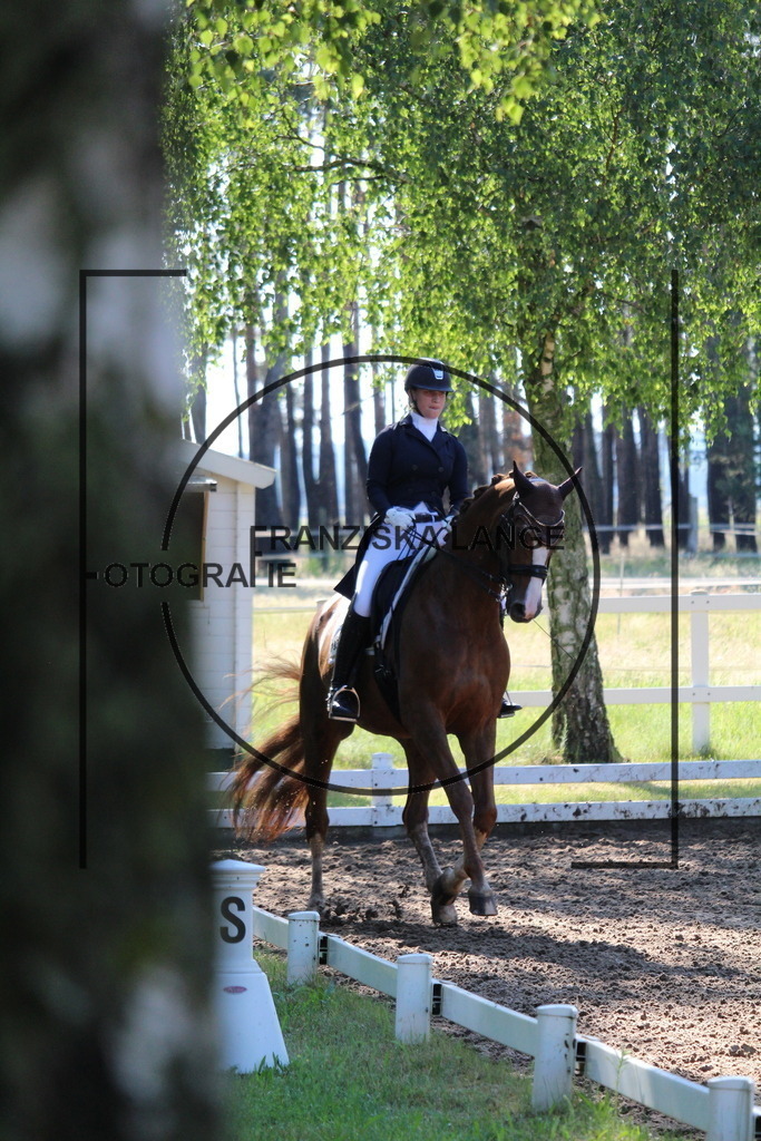 IMG_6411 | franziskalange - Realisiert mit Pictrs.com