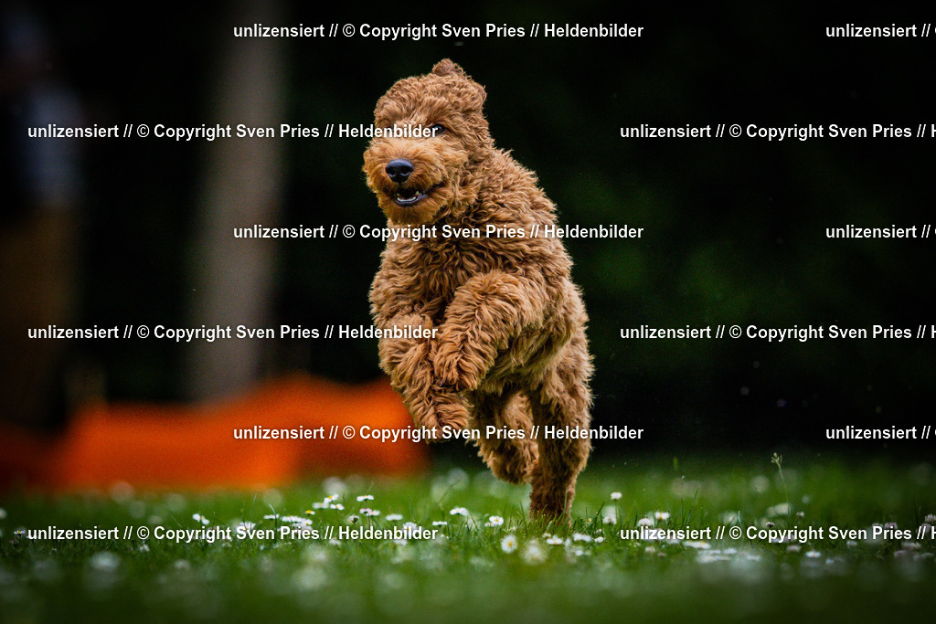 Sven Pries | 2025-05-29 - Pudelrennen KA-Durlach - Realisiert mit Pictrs.com