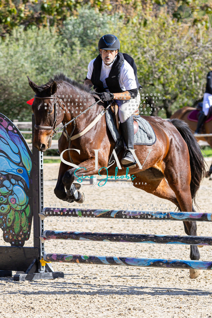 IMG_0605 | s-jay-photography - Realisiert mit Pictrs.com