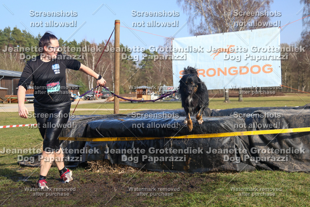 Dog Paparazzi - Strongdog North Mrz26-3214 | Dog Paparazzi Jeanette Grottendiek Fotografie & Videografie - Realisiert mit Pictrs.com