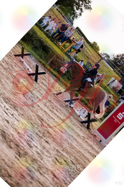 2026_10_03_Siefer-Hof_144453_Z81_19264003 | Professionelle Reitsport-, Turnier- und Eventfotografie von Robert Broda. Galerien mit ausgewählten und bearbeiteten Bildern direkt online ansehen und bestellen.
