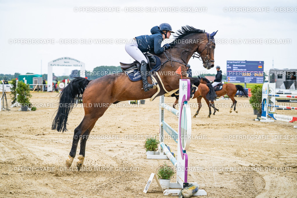 DSC09283 | Pferdegrafie