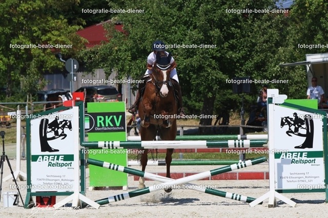 Zeit L (26) | Fotografie, Tiere, Hunde, Katzen, Pferde, Sportfotografie, Fotosession, Tierfotografie, Turnierfotografie, Fotografin, Fotograf - Realisiert mit Pictrs.com