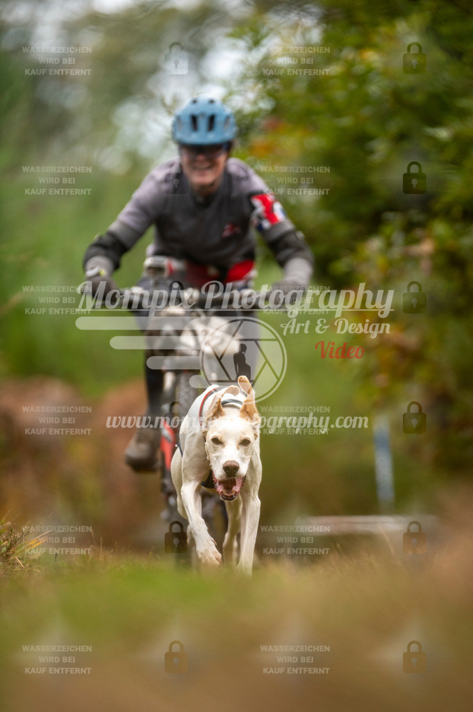 TSB_2023_E5_Bike-75 | PayLife