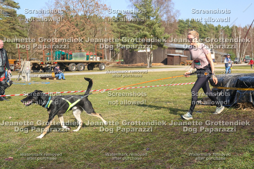 Dog Paparazzi - Strongdog North Mrz26-2968 | Dog Paparazzi Jeanette Grottendiek Fotografie & Videografie - Realisiert mit Pictrs.com