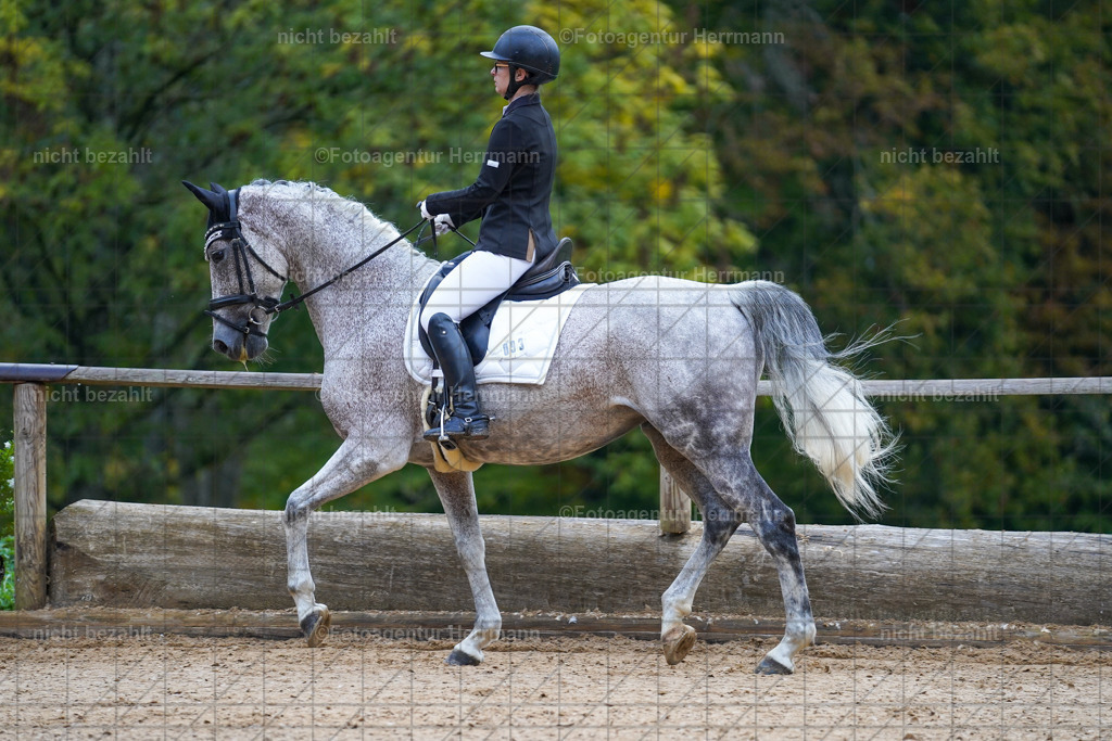 20221008-FAH00682 | Diessen am Ammersee, 2022, Dressur- und Springturnier, Reitsportbilder, Turnierfotografen Bayern, Pferdefotografen, Fotoagentur Herrmann, Turnierbilder