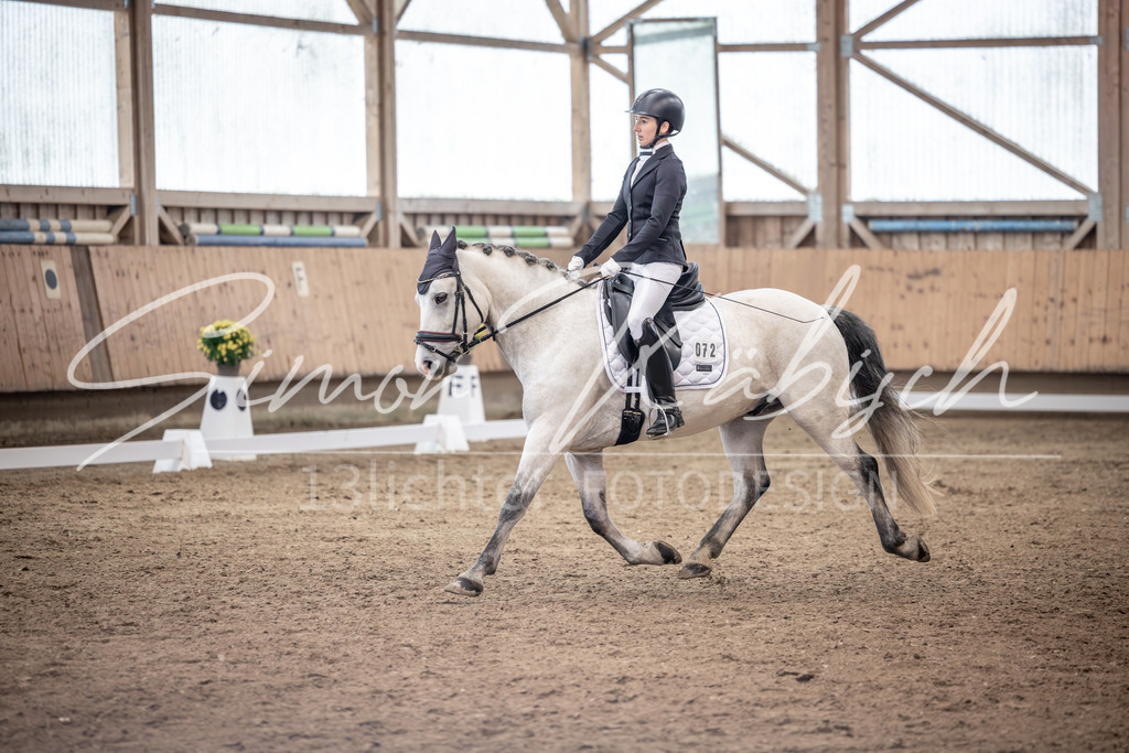 20251011-_3LI0602 | Tierfotografie Pferde, Hunde, Katzen, Haustiere.
Turnierfotografie Reitturniere, Reiten, Springreiten, Dressur in Hanau, dem Main-Kinzig-Kreis und dem Rhein-Main- Gebiet um Frankfurt